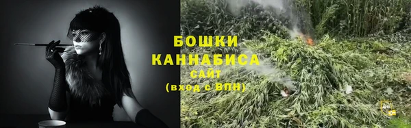 ПСИЛОЦИБИНОВЫЕ ГРИБЫ Заволжье