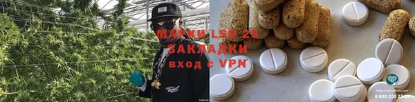 ПСИЛОЦИБИНОВЫЕ ГРИБЫ Заволжье