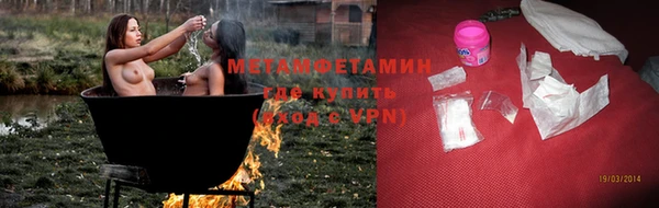 ПСИЛОЦИБИНОВЫЕ ГРИБЫ Заволжье