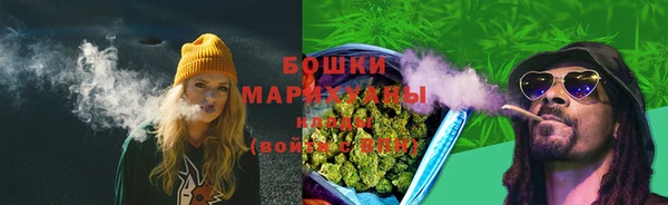 ПСИЛОЦИБИНОВЫЕ ГРИБЫ Заволжье