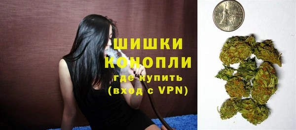 ПСИЛОЦИБИНОВЫЕ ГРИБЫ Заволжье