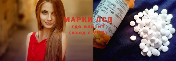ПСИЛОЦИБИНОВЫЕ ГРИБЫ Заволжье