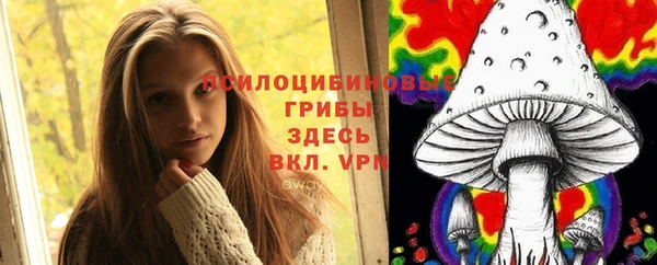 ПСИЛОЦИБИНОВЫЕ ГРИБЫ Заволжье
