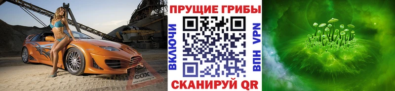 Купить где  Жуковский  Псилоцибиновые грибы Cubensis 