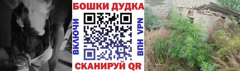 Купить где  Жуковский  Бошки Шишки ГИДРОПОН 